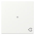 GIRA 329127 Wippe Kontrollfenster+Symbol Steckdose System 55 Reinweiß seidenmatt
