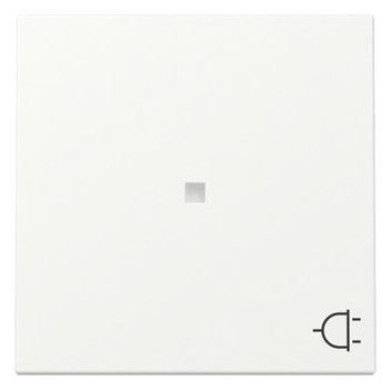 GIRA 329127 Wippe Kontrollfenster+Symbol Steckdose System 55 Reinweiß seidenmatt