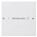 GIRA 220103 Wippenset 1fach beschreibbar System 55 Reinweiß glänzend (lackiert)