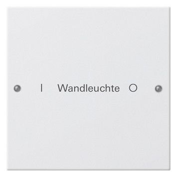 GIRA 220103 Wippenset 1fach beschreibbar System 55 Reinweiß glänzend (lackiert)