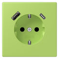 Jung LC1520-15CA221 SCHUKO-Steckd.m.USB Typ AC LC32052