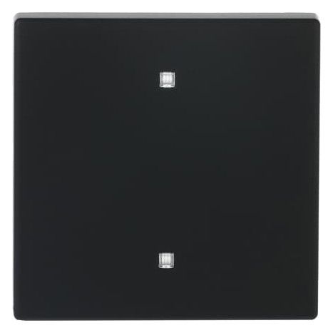 BJ 2570-10-885 Wippe Elektroniktaster