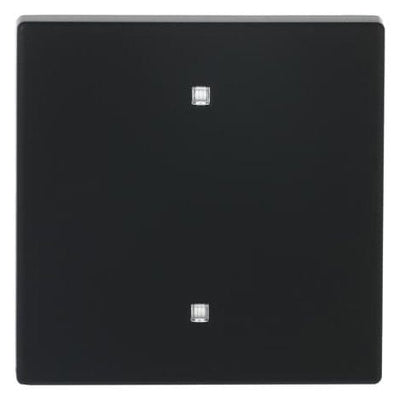 BJ 2570-10-885 Wippe Elektroniktaster