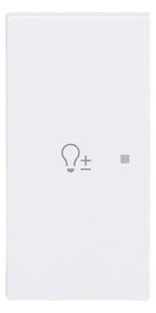 BJ 6234-21-44M Wippe 2-fach links m.Symbol "Dimmer"