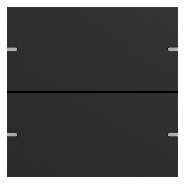 GIRA 5022905 Wippenset 2fach Tastsensor4 TS4 Aluminium Schwarz matt (lackiert)