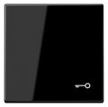 Jung LS990TSW Wippe Symbol Tür schwarz