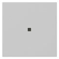 GIRA 5371015 Wippe 1fach unbedruckt KF System 55 Grau matt (lackiert)