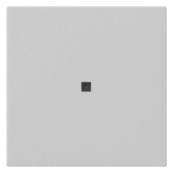 GIRA 5371015 Wippe 1fach unbedruckt KF System 55 Grau matt (lackiert)