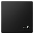 Jung A 590 T SWM Wippe 1fach Symbol Tür Serie A graphitschwarz matt