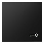 Jung A 590 T SWM Wippe 1fach Symbol Tür Serie A graphitschwarz matt