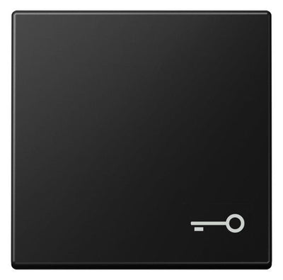 Jung A 590 T SWM Wippe 1fach Symbol Tür Serie A graphitschwarz matt