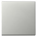 GIRA 3296600 Wippe System 55 Edelstahl