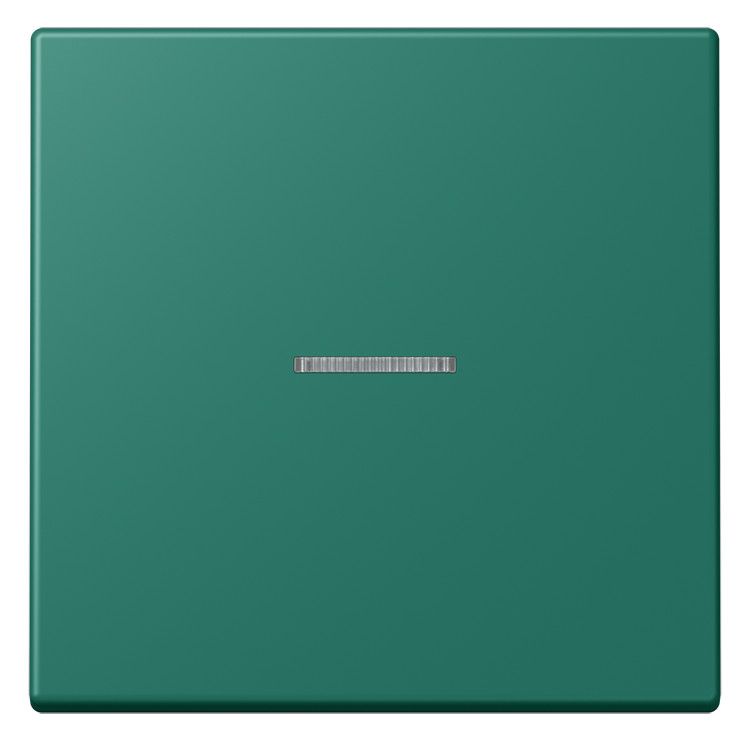 Jung LC101KO5216 Wippe m.Lichtleiter f.KNX Taster 1fa