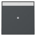 GIRA 367028 Wippe Kontrollfenster+BSF System 55 Anthrazit