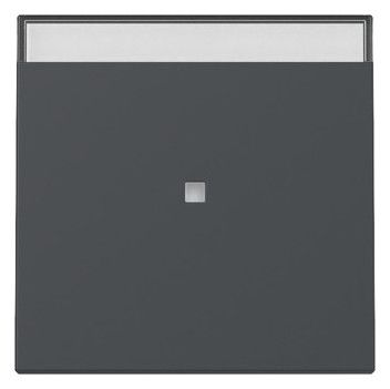 GIRA 367028 Wippe Kontrollfenster+BSF System 55 Anthrazit