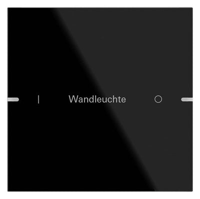 GIRA 503105 Wippenset 1fach indiv. Tastsensor4 TS4 Glas Schwarz