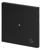 BJ 6234-10-45M Wippe 1-fach m.Symbol "Dimmer"