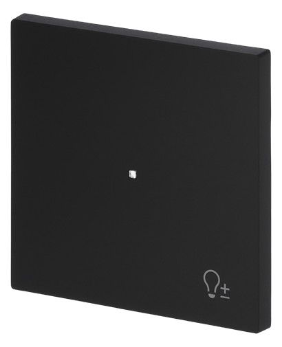 BJ 6234-10-45M Wippe 1-fach m.Symbol "Dimmer"
