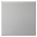 GIRA 5372600 Wippe 1fach unbedruckt System 55 Edelstahl