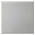 GIRA 5372600 Wippe 1fach unbedruckt System 55 Edelstahl