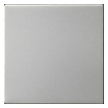 GIRA 5372600 Wippe 1fach unbedruckt System 55 Edelstahl
