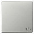 GIRA 3287600 Wippe Symbol Tür System 55 Edelstahl