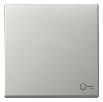GIRA 3287600 Wippe Symbol Tür System 55 Edelstahl