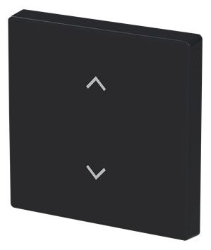 BJ 6735-11-885 Wippe 1-fach m.Symbol "Jalousie" Format 63