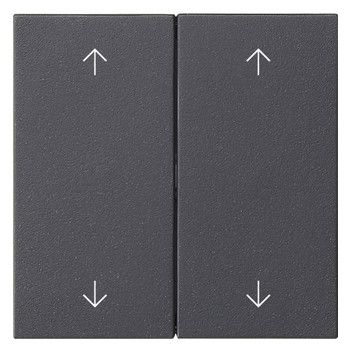GIRA 538728 Wippe 2fach Pfeile System 55 Anthrazit