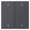 GIRA 538728 Wippe 2fach Pfeile System 55 Anthrazit