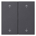 GIRA 538728 Wippe 2fach Pfeile System 55 Anthrazit