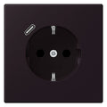 Jung LC1520-18C248 SCHUKO-Steckd.m.USB Typ C LC4320E