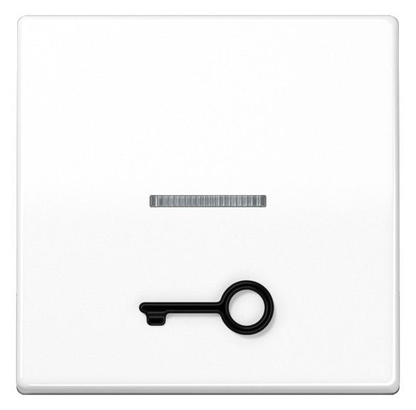 Jung AS591T1KO5WW Wippe abtastbares Sym. Tür m.Lichtleiter Serie AS alpinweiß