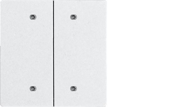 Eltako DW-B4T55E-wg Doppelwippe f.Bustaster im E-Design55 30055929