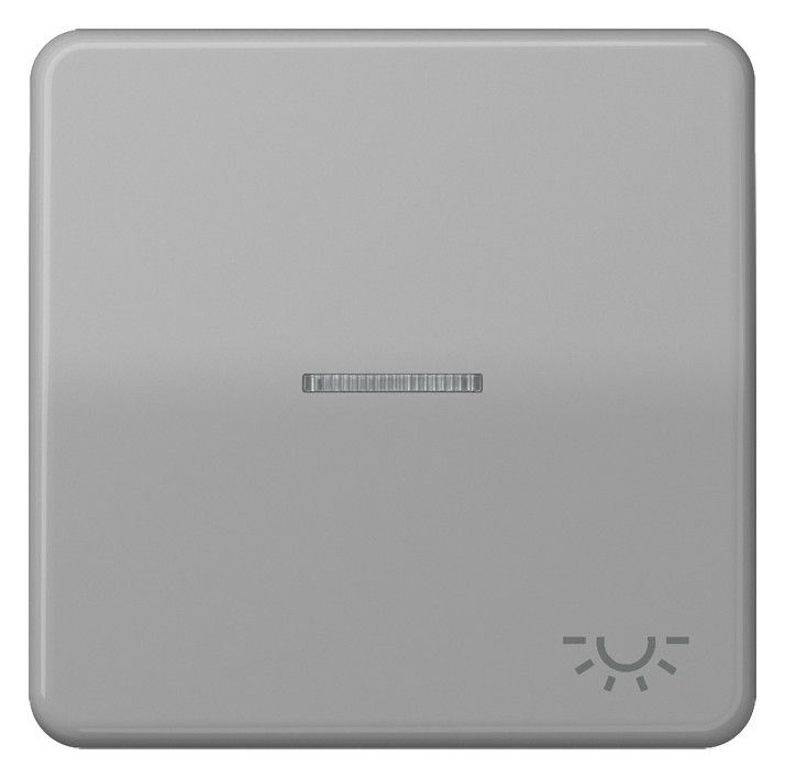 Jung CD590KO5LGR Wippe Symbol Licht m.Lichtleiter grau
