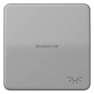Jung CD590KO5LGR Wippe Symbol Licht m.Lichtleiter grau