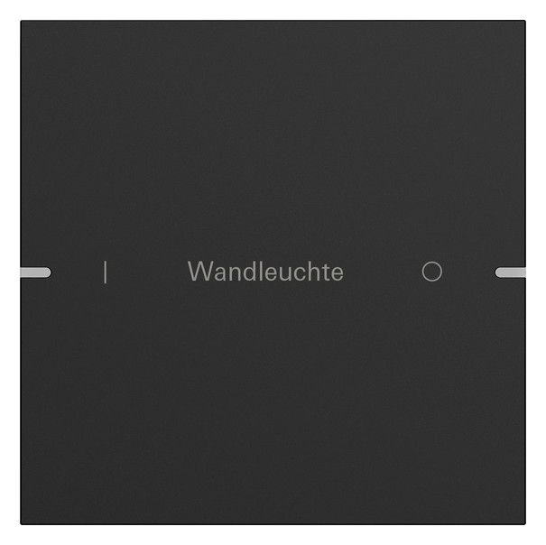 GIRA 5031905 Wippenset 1fach indiv. Tastsensor4 TS4 Alu Schwarz matt(lack.)