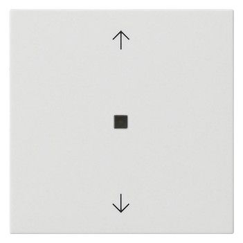 GIRA 538803 Wippe 1fach Pfeile KF System 55 Reinweiß glänzend