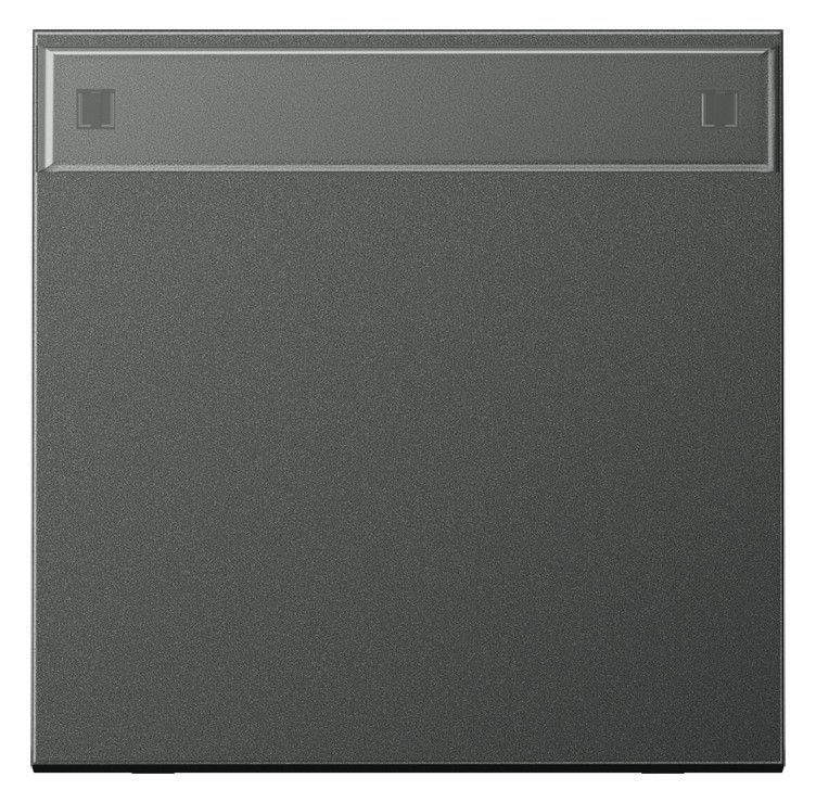 Jung AL2990NAAN Wippe Schriftfeld LS Aluminium anthrazit