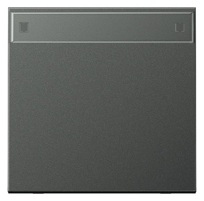 Jung AL2990NAAN Wippe Schriftfeld LS Aluminium anthrazit