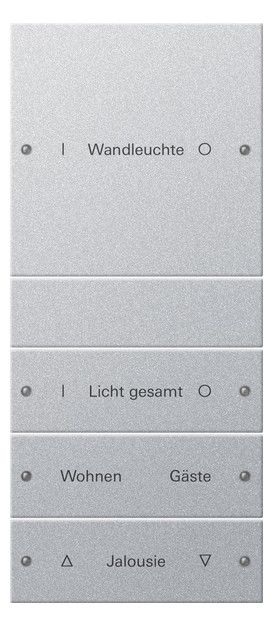 GIRA 220426 Wippenset 4fach (1+3) beschreib. System 55 Farbe Alu (lack.)