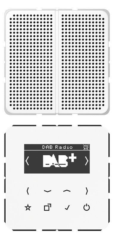 Jung DABCD1WW Smart Radio DAB+Set Mono