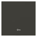 Panasonic WDTR00181DG-EU1 Plus 55 Wippe anthrazit m.Symbol Schlüssel