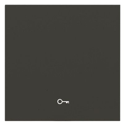 Panasonic WDTR00181DG-EU1 Plus 55 Wippe anthrazit m.Symbol Schlüssel