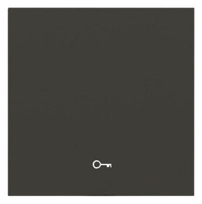 Panasonic WDTR00181DG-EU1 Plus 55 Wippe anthrazit m.Symbol Schlüssel