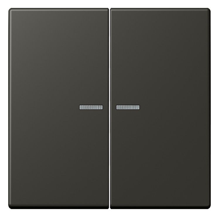 Jung LC995KO5259 Wippe f.Serienschalter KO LC4320R