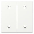 GIRA 329727 Wippe 2fach Pfeile System 55 Reinweiß seidenmatt