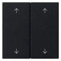GIRA 5387005 Wippe 2fach Pfeile System 55 Schwarz matt (lackiert)
