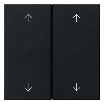 GIRA 5387005 Wippe 2fach Pfeile System 55 Schwarz matt (lackiert)