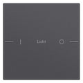 GIRA 576128 Wippenset 1fach indiv. Tastsensor4 System 55 Anthrazit
